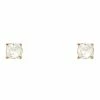 RNK Glass Rhinestone Stud Earrings